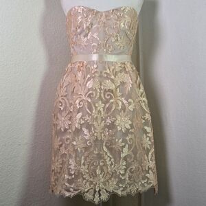 Marchesa Notte Strapless Nude Pink Floral Embroidered Lace Cocktail Dress Sz S